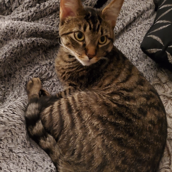 Meet your Posher, Jade!!! Now a Suggested User!!! - Picture 5 of 6